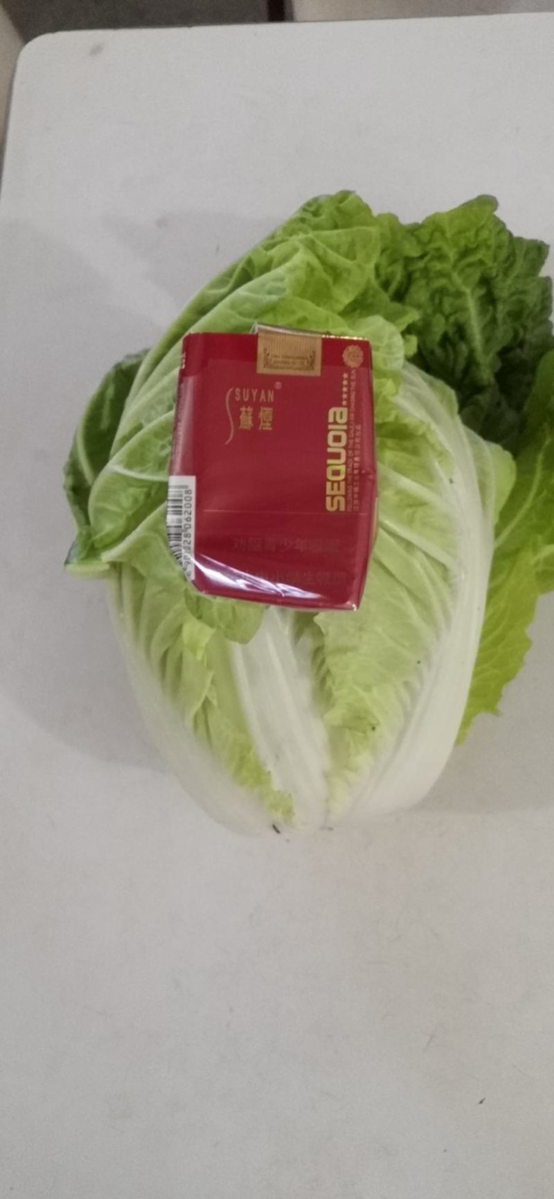徐州夏阳白菜马上大量上市