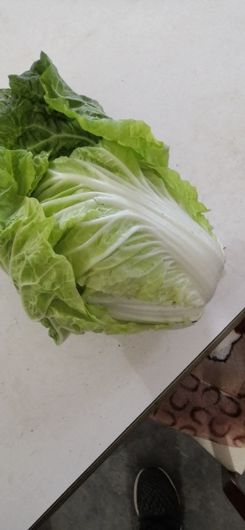 徐州夏阳白菜马上大量上市
