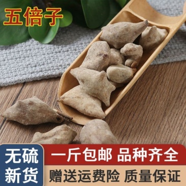 中药材新货五倍子克中药材野生肚倍百虫仓百蛇床子可