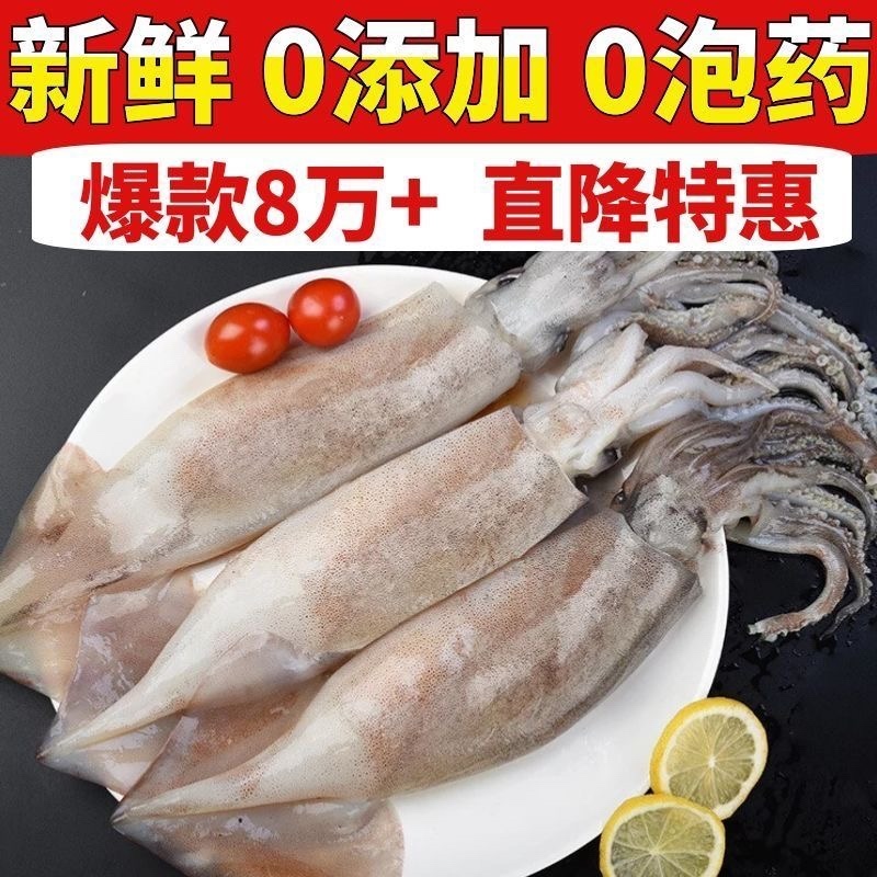 大鱿鱼整只冷冻水产海鲜批发🦑🦑🦑🦑🦑🦑🦑