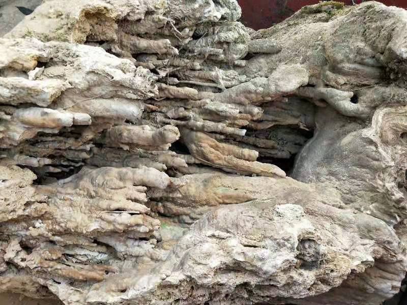 吸水石
