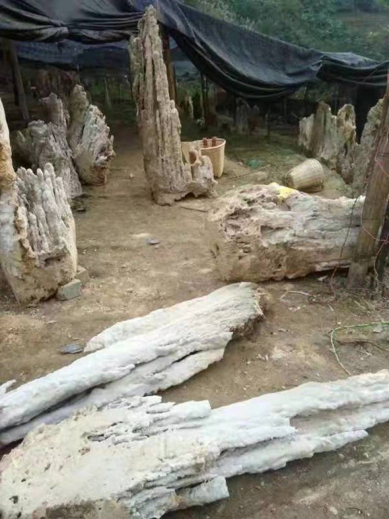 吸水石