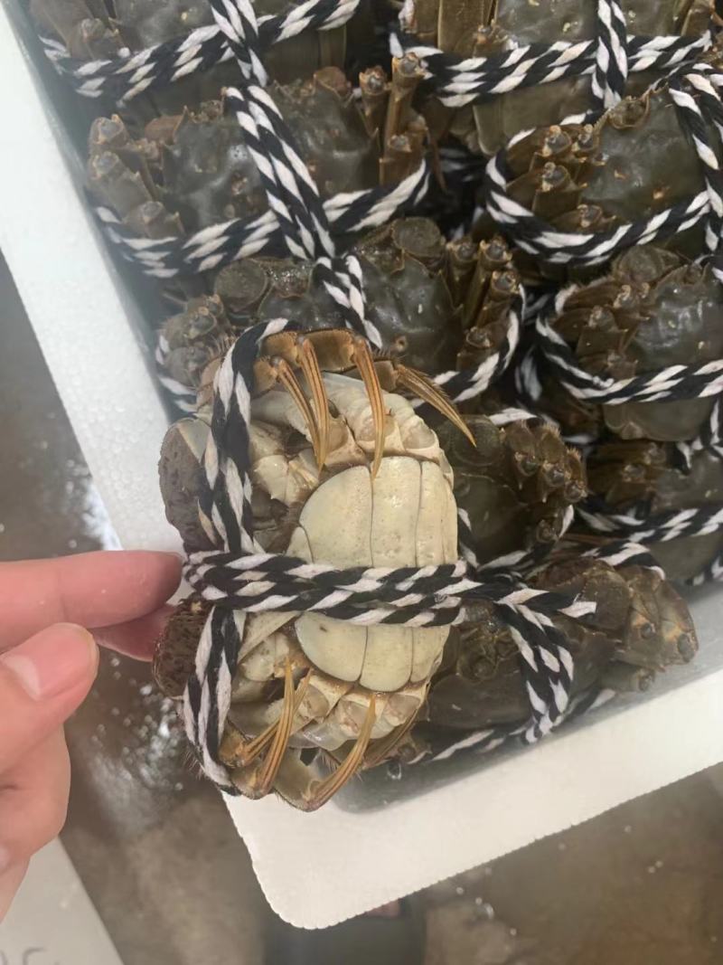 大闸蟹