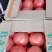 西红柿