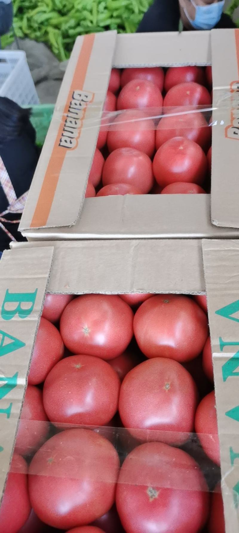 西红柿
