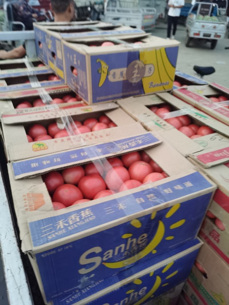 西红柿