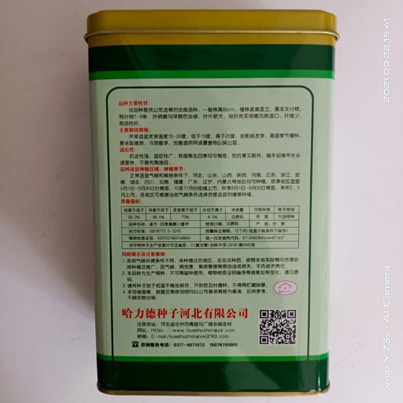 小香芹种子，文图拉四季小芹菜种子四季播种芹菜种子