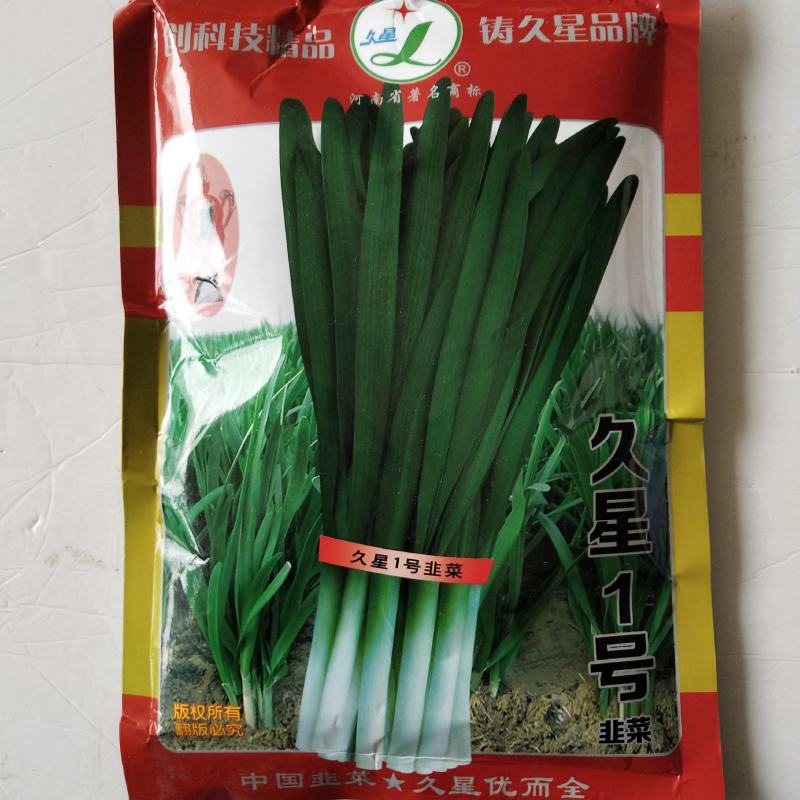 韭菜种子久星23半休眠品种韭菜种子青韭籽味浓辛
