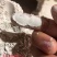 稻壳粉厂直销过筛除尘，各种规格，也可来样定制。