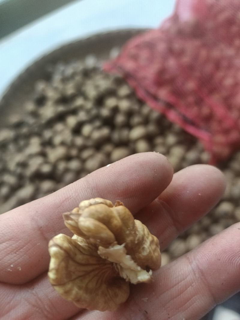 甘核桃