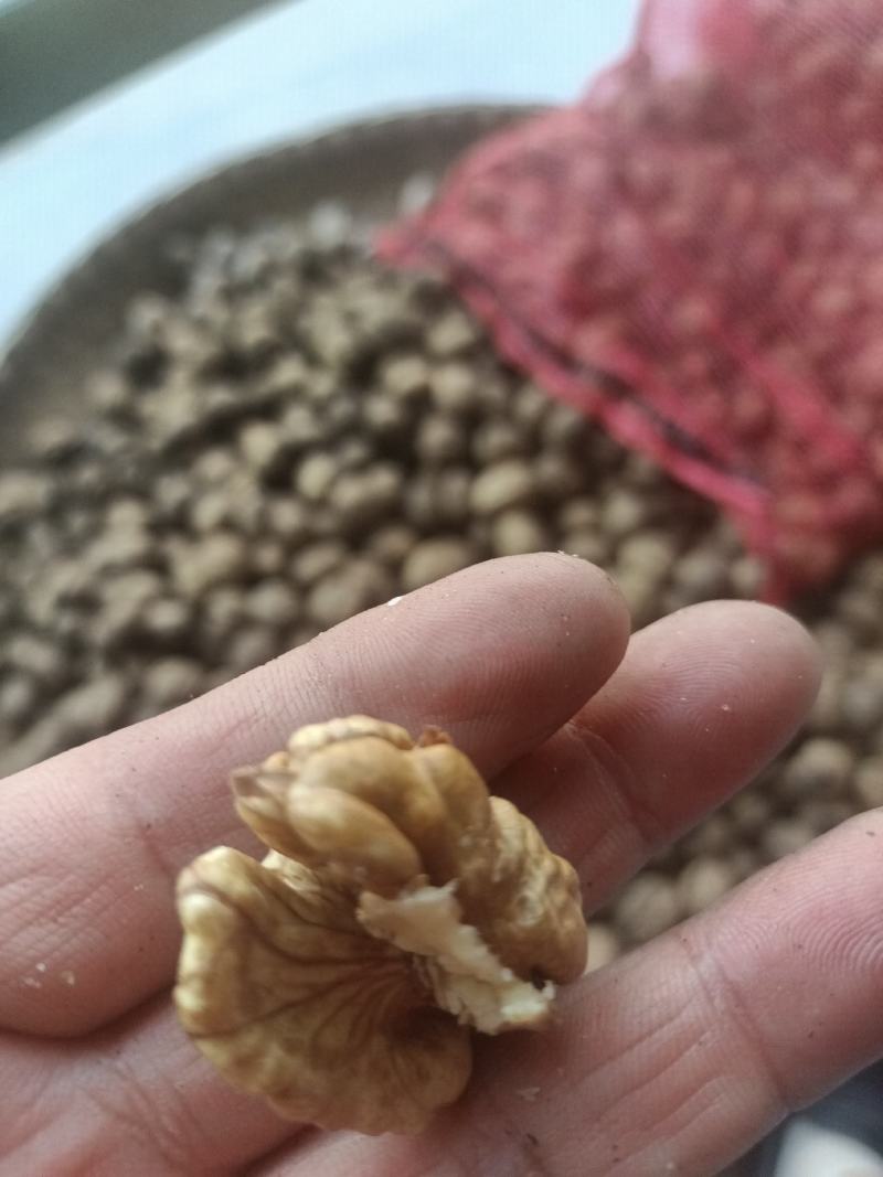 甘核桃