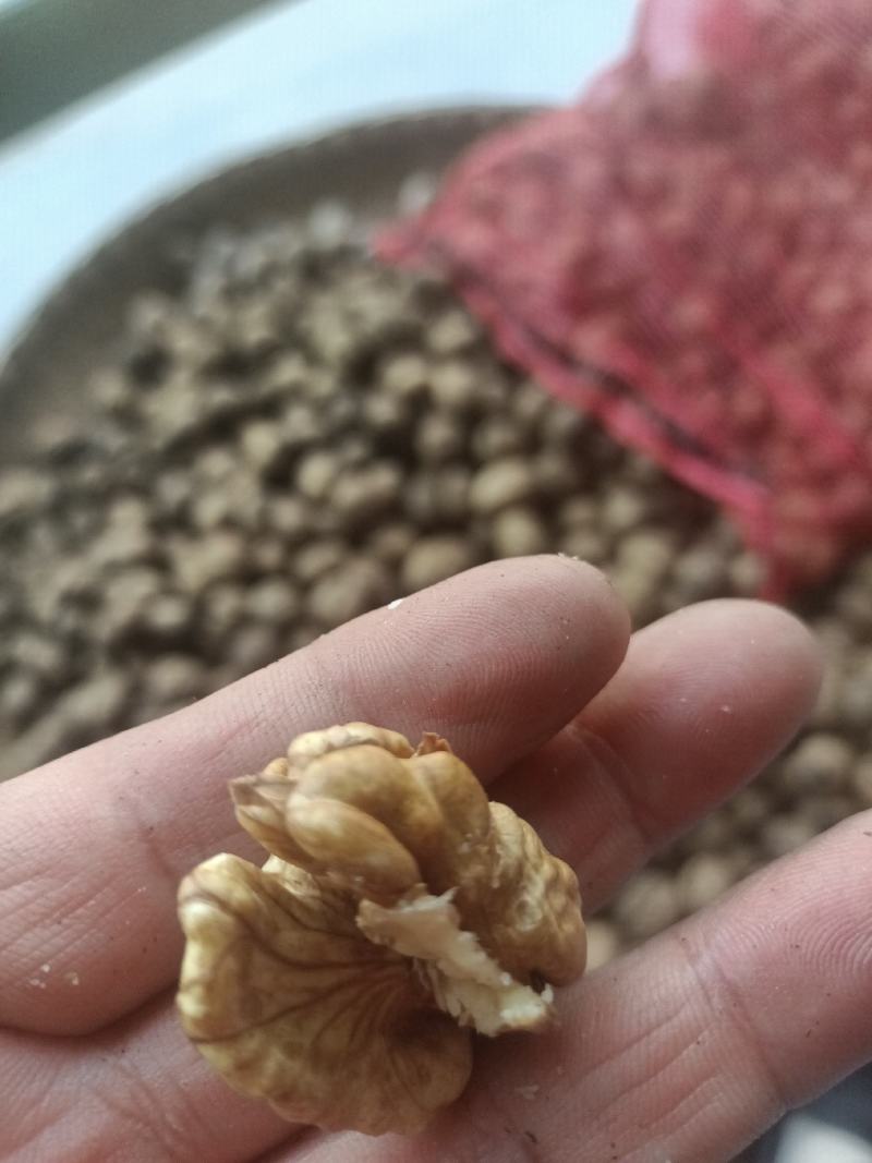 甘核桃
