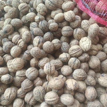 甘核桃