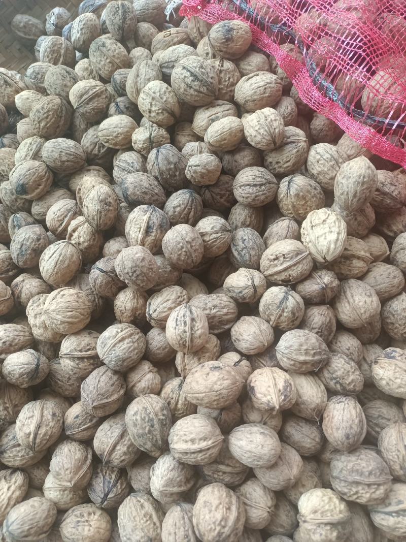 甘核桃