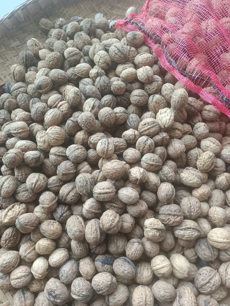 甘核桃