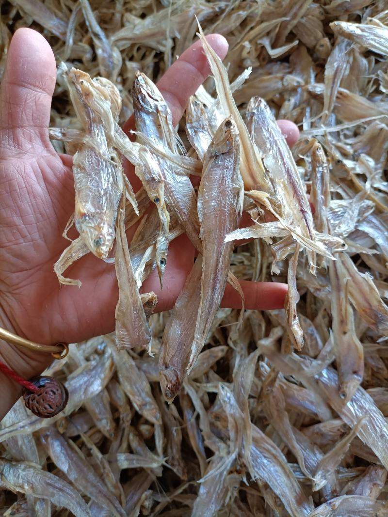 毛花鱼毛鱼学名湖鲚，又称刀鲚、毛毛草鱼、凤尾鱼等。无沙