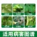 代森锰锌UPL杀菌剂