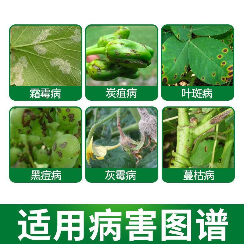 代森锰锌UPL杀菌剂