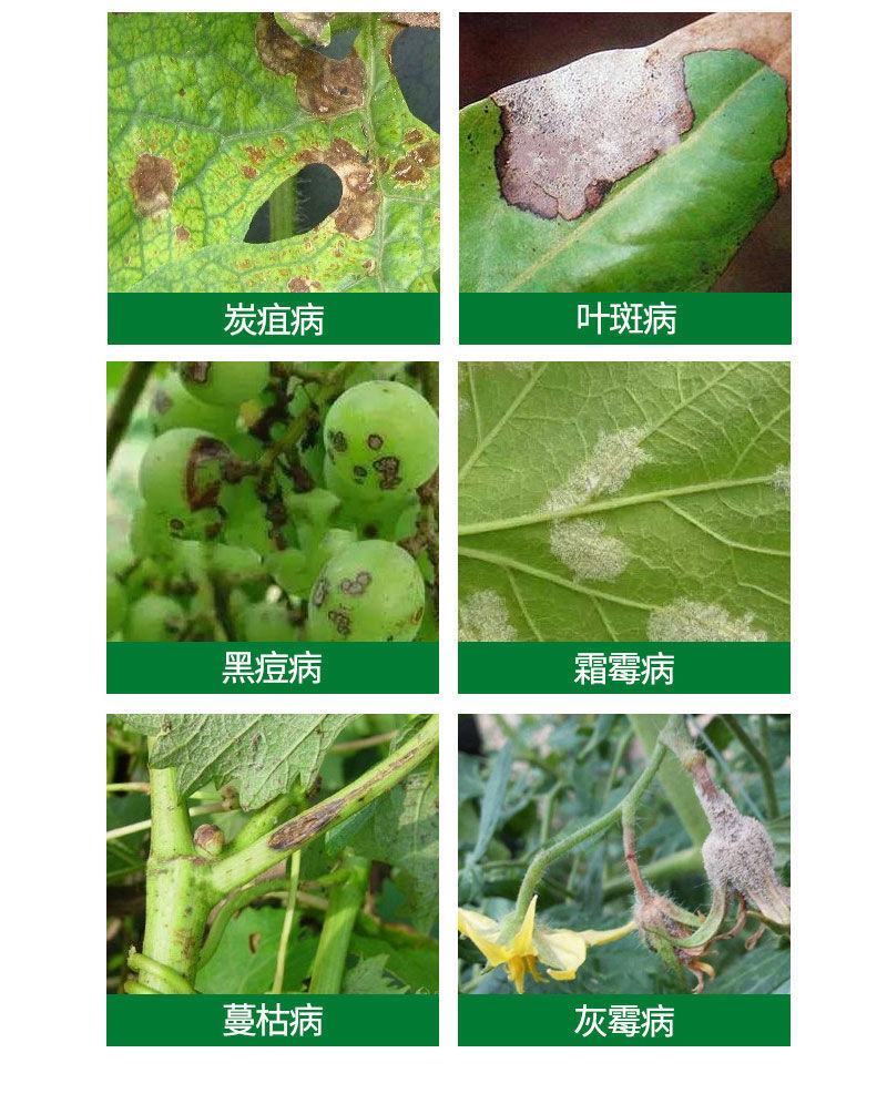 代森锰锌UPL杀菌剂