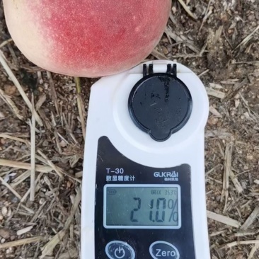 金秋红蜜大量现货糖度特别高、现货江苏地区