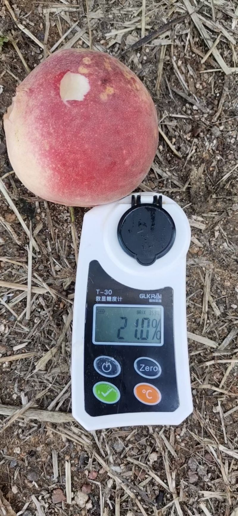 金秋红蜜大量现货糖度特别高、现货江苏地区