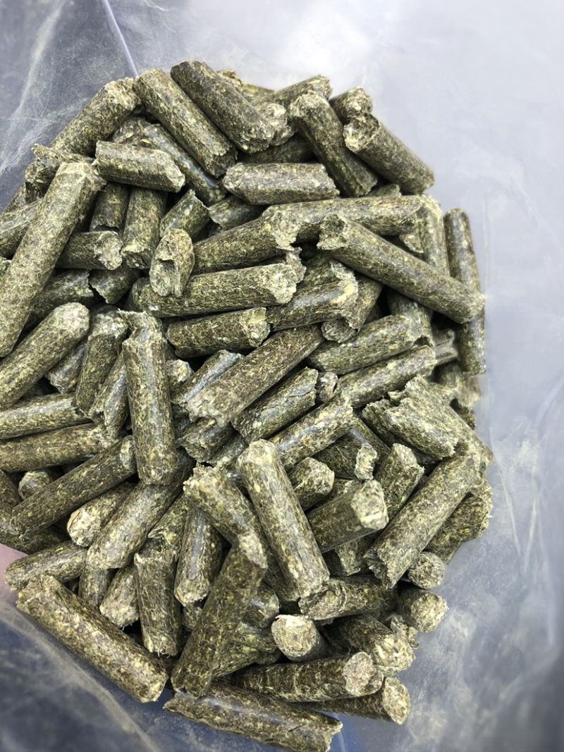 西班牙苜蓿草颗粒:适用于兔子牛羊马骆驼猪禽等等...