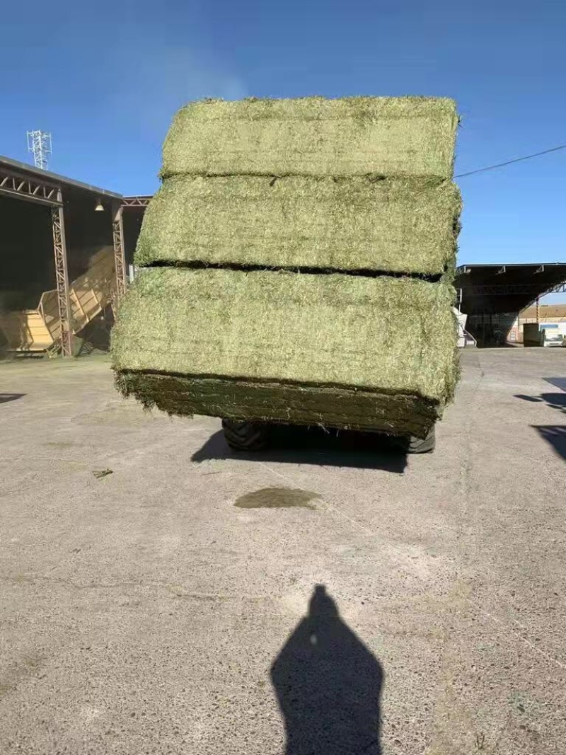 西班牙苜蓿草颗粒:适用于兔子牛羊马骆驼猪禽等等...