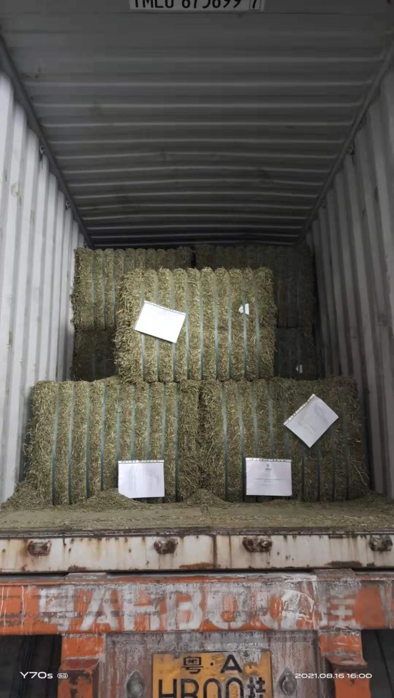 西班牙苜蓿草颗粒:适用于兔子牛羊马骆驼猪禽等等...