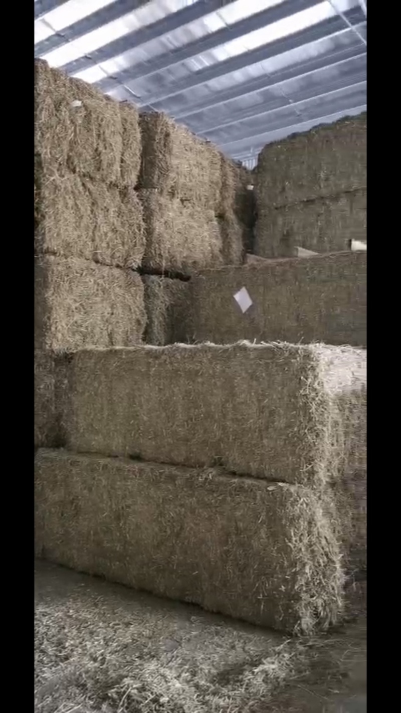 西班牙苜蓿草颗粒:适用于兔子牛羊马骆驼猪禽等等...