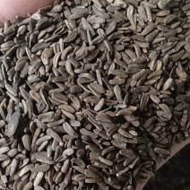 同奎中药材批发牛蒡子大力子牛子量大从优