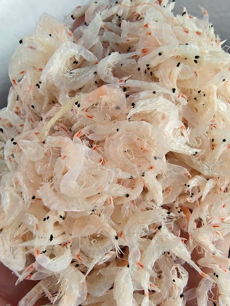 青岛淡干无盐虾皮