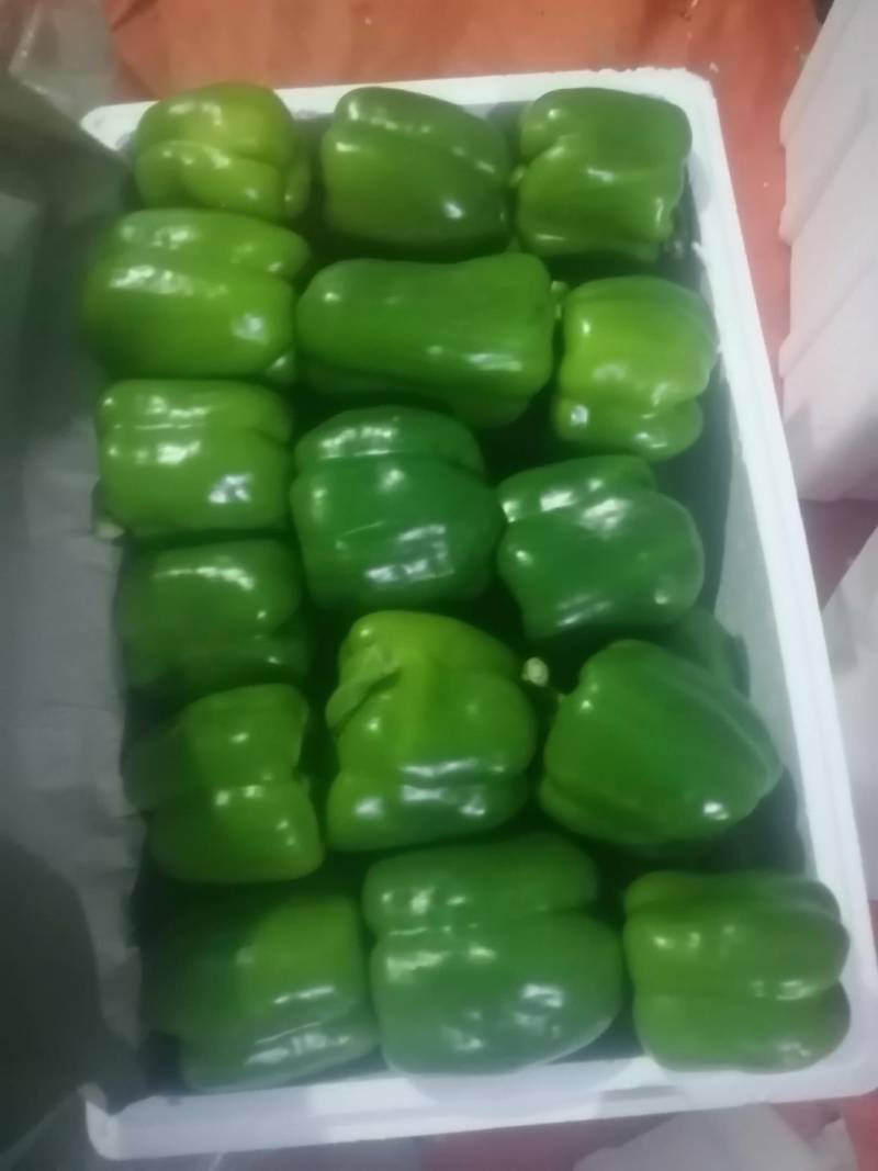 原产地圆椒，果型正，大小均匀，颜色鲜亮。货源充足