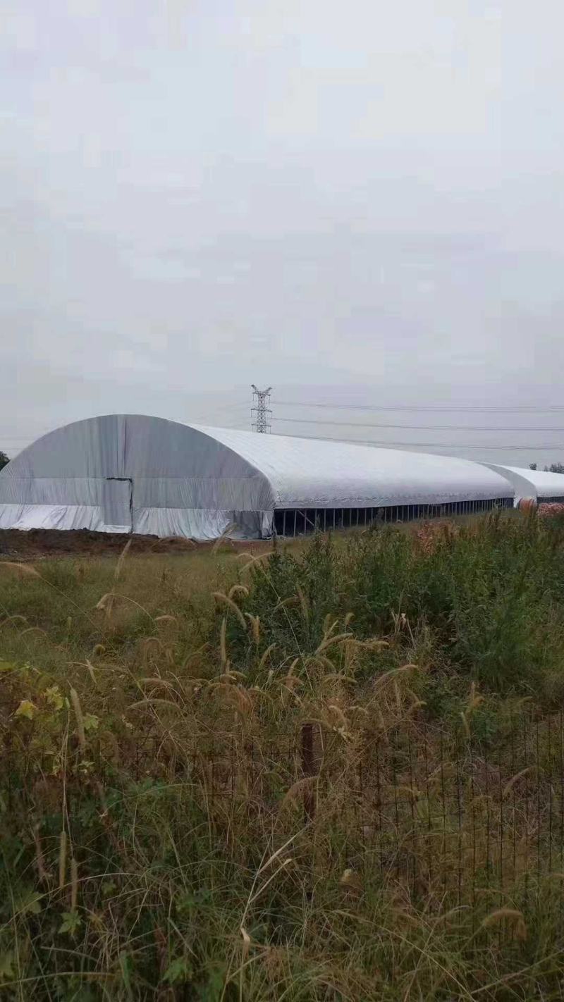 养殖大棚全套养鸡大棚羊大棚牛大棚猪大棚全国发货安装好付款