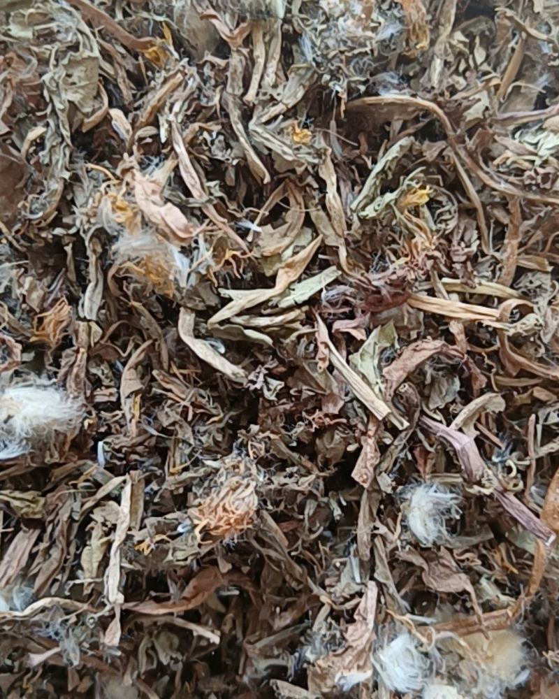 蒲公英婆婆丁带花无尘土批发各种中药材