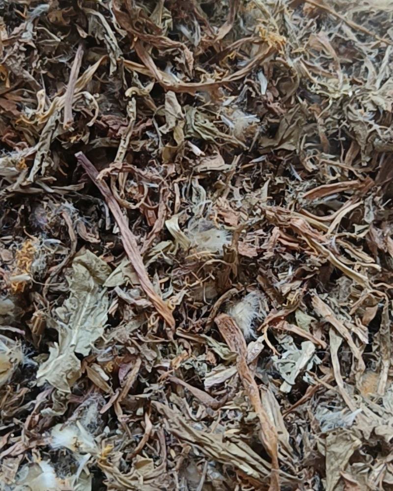 蒲公英婆婆丁带花无尘土批发各种中药材
