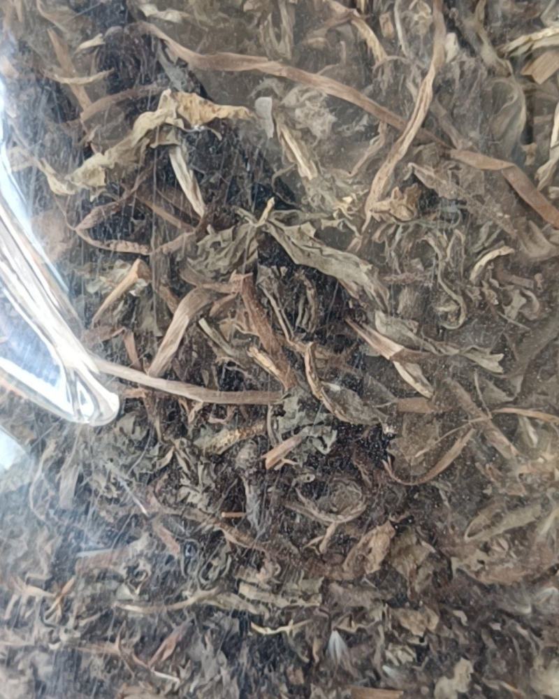 蒲公英婆婆丁带花无尘土批发各种中药材