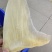 鱼翅
