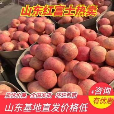 山东红富士苹果大量上市条红全红价格便宜随到随装视频看货