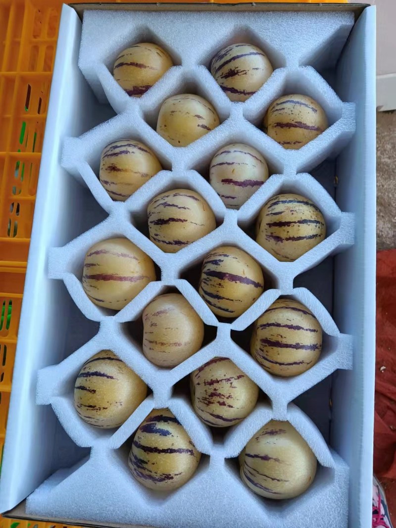 石林人参果