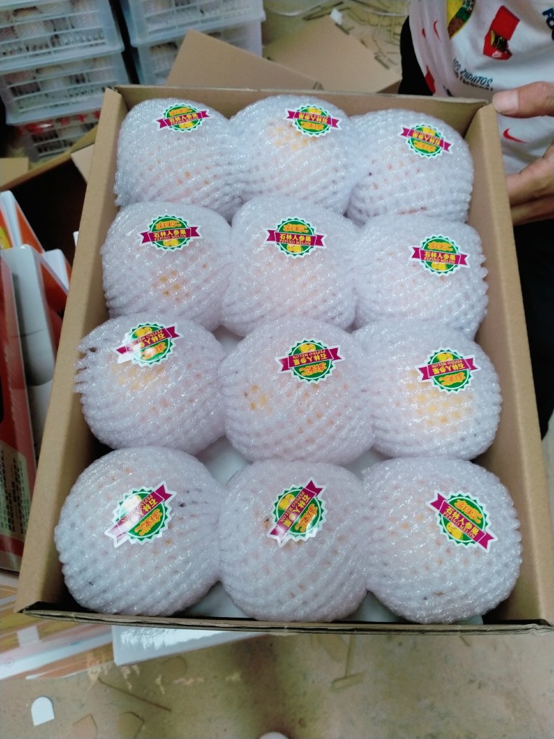 石林人参果