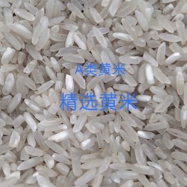 三选黄米