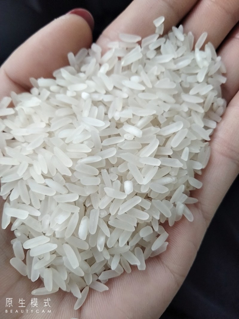 丰良优22年大量货源稳定，质优价廉。