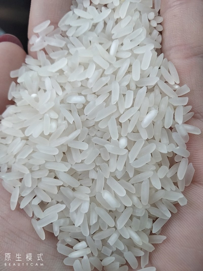 丰良优22年大量货源稳定，质优价廉。