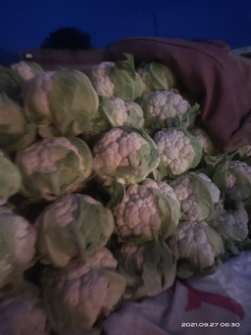 白花