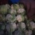 白花