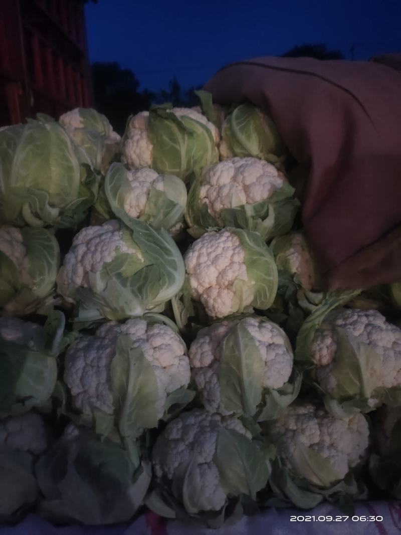 白花