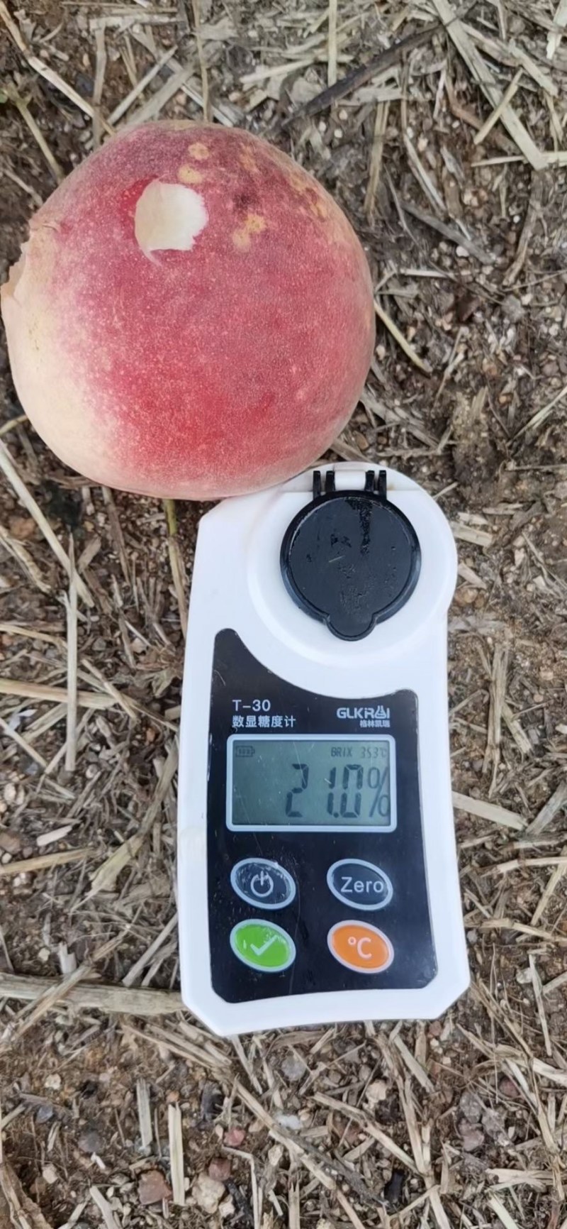大量金秋红蜜现货糖度特别高江苏产地