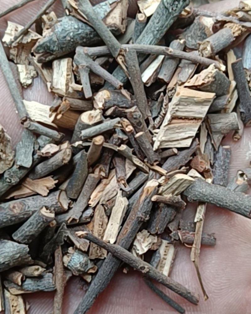 桑寄生寄生黑寄生康辰药业批发各种中药材