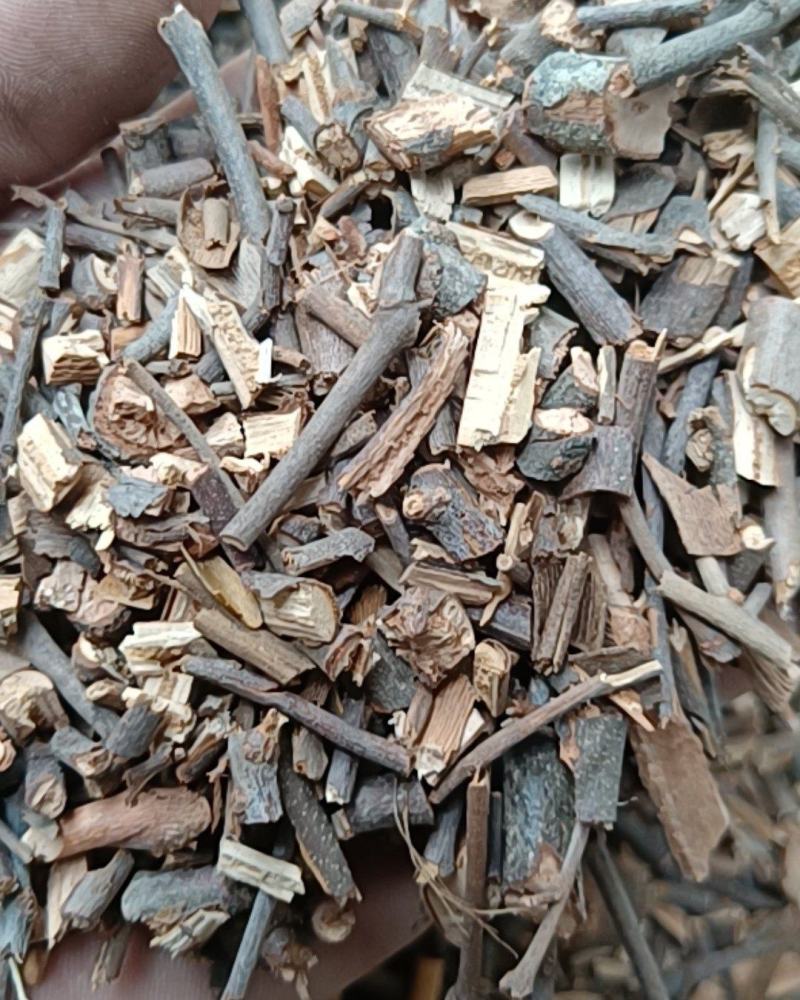 桑寄生寄生黑寄生康辰药业批发各种中药材