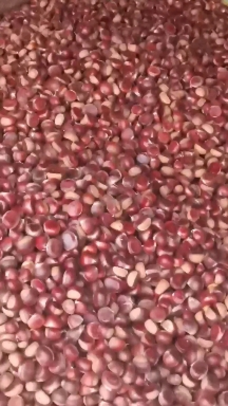 新鲜板栗
